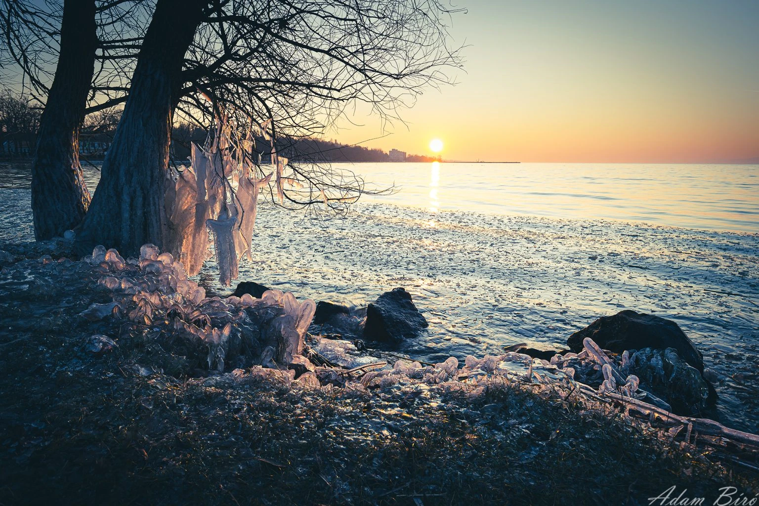 The frosty landscape
