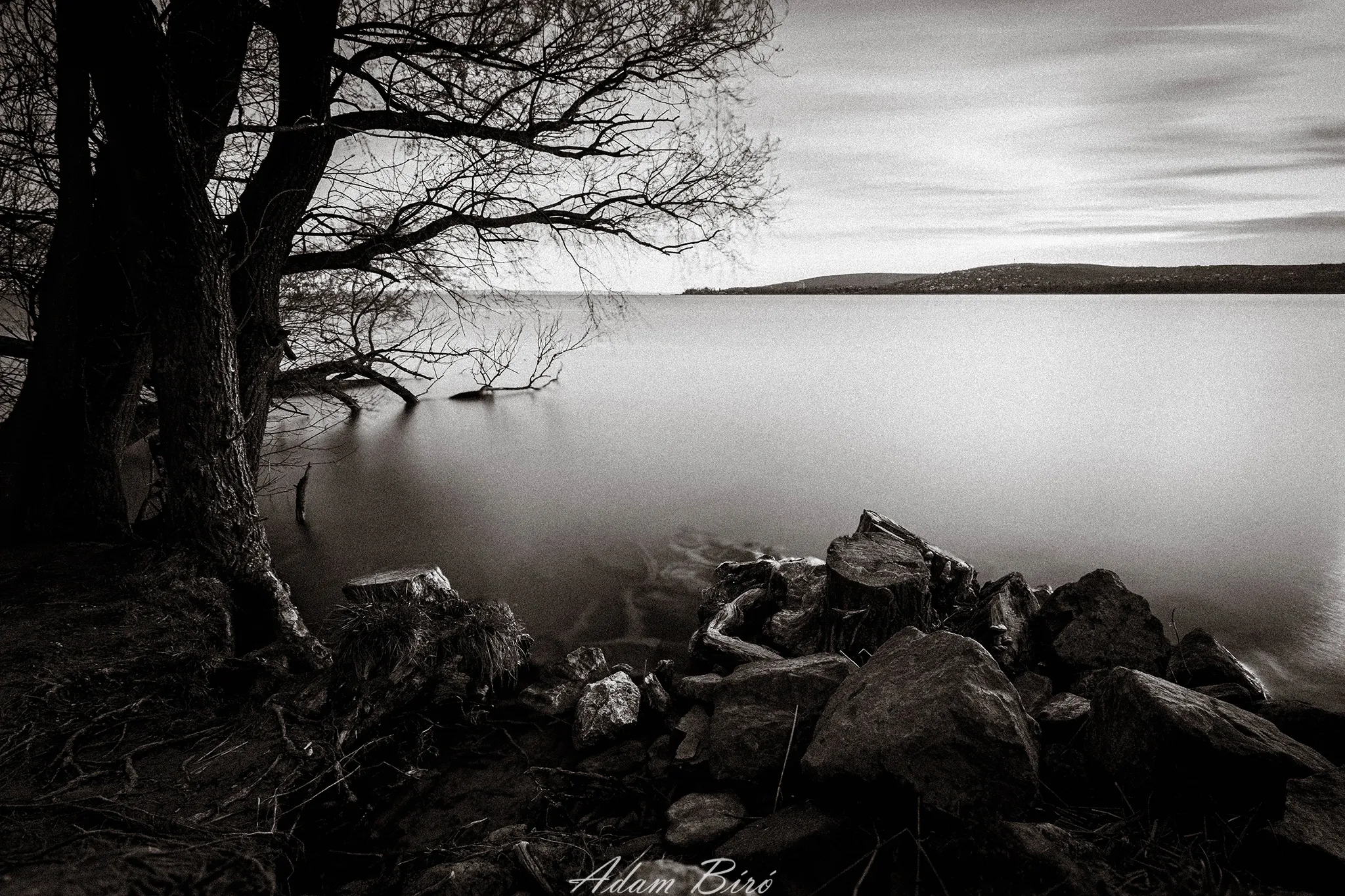 Black-and-white long exposure photograph of a quiet lakeshore with bare trees, smooth water, and rocks in the foreground.