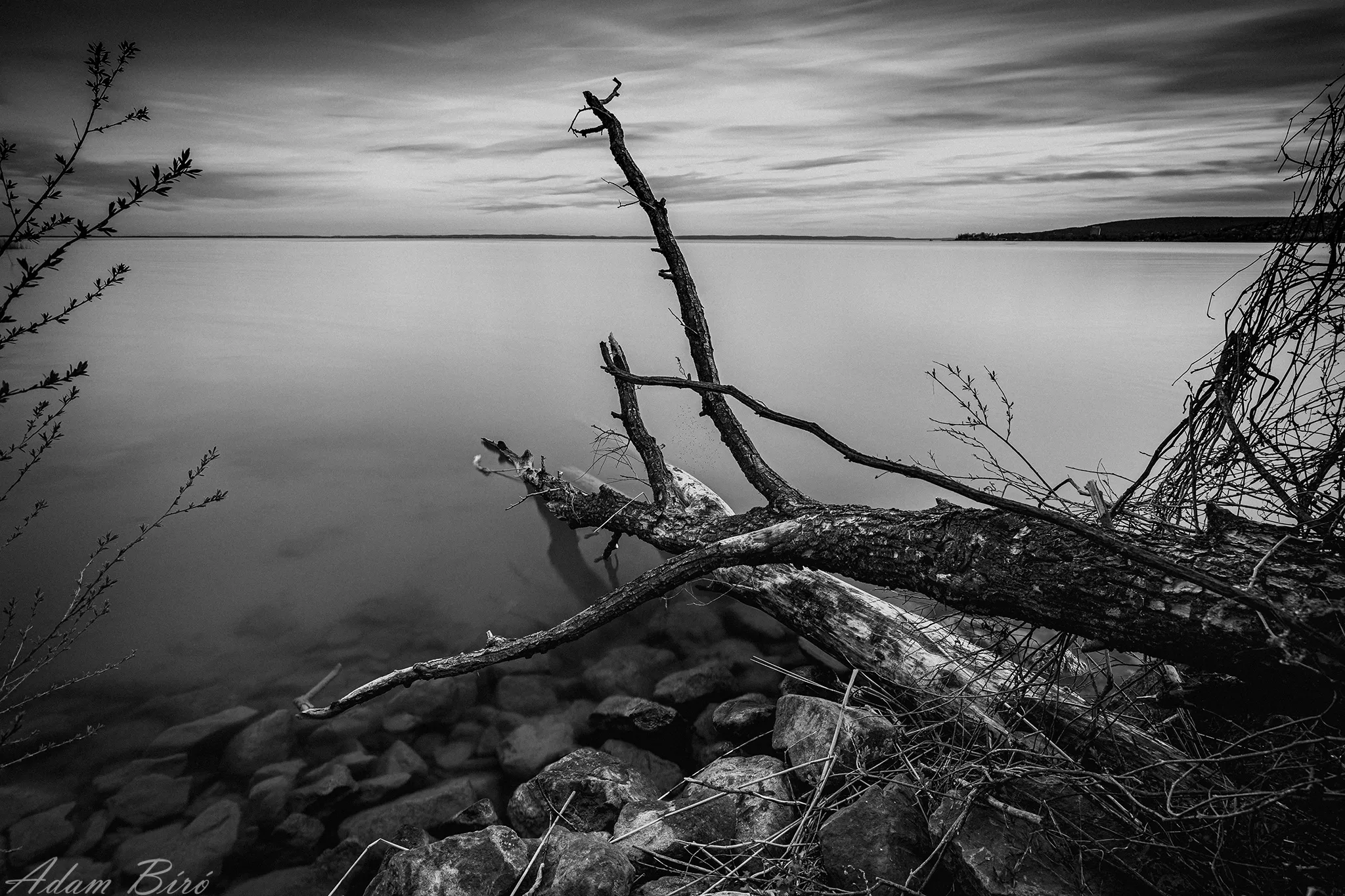 I used to live there, but I have to die - bw version