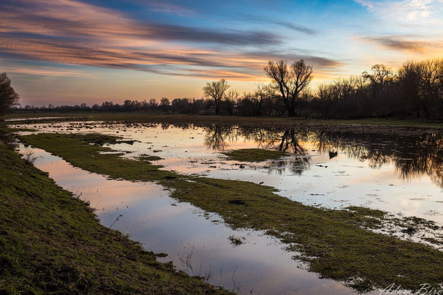 The flooded nature