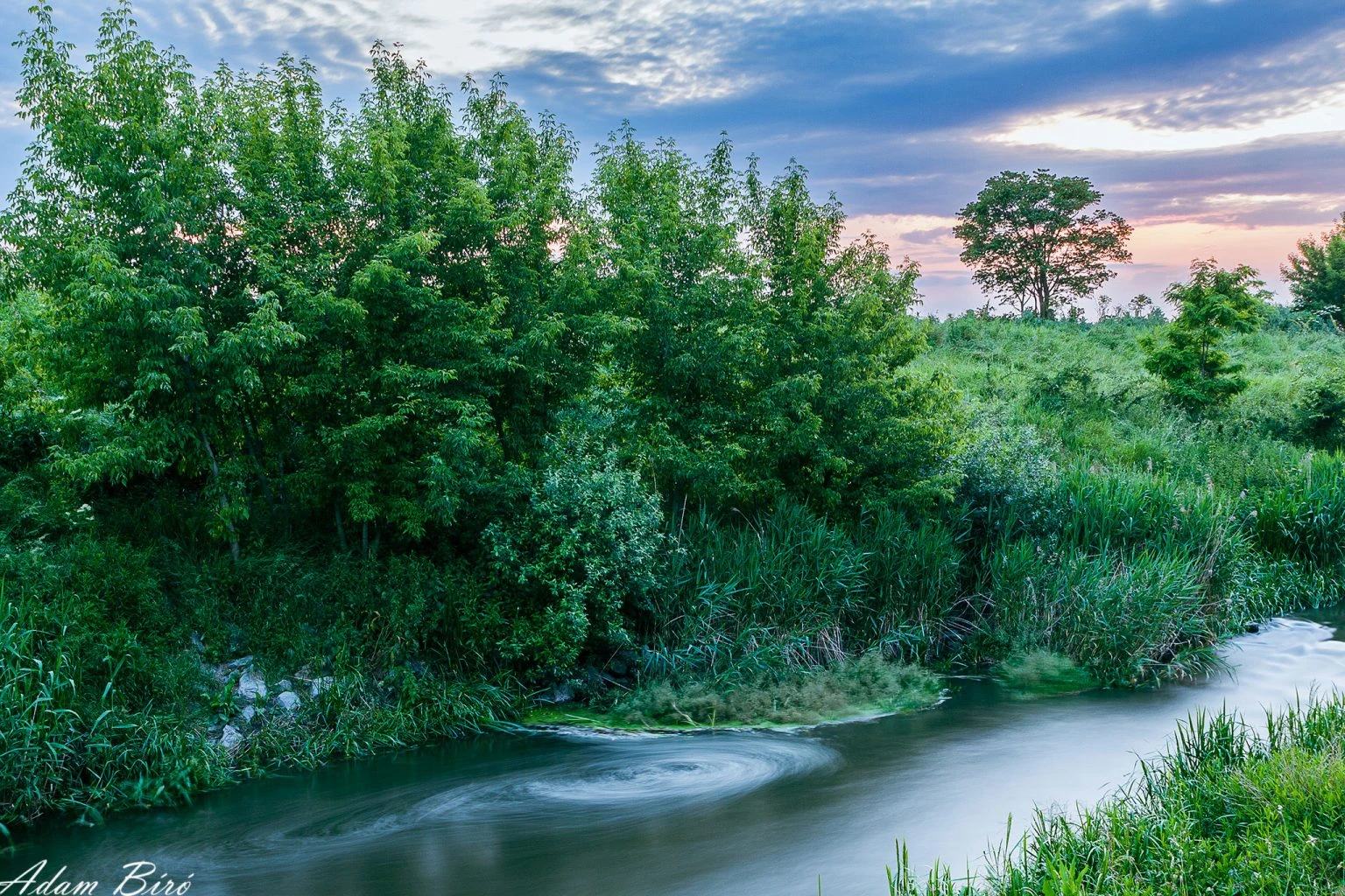The whirlpool