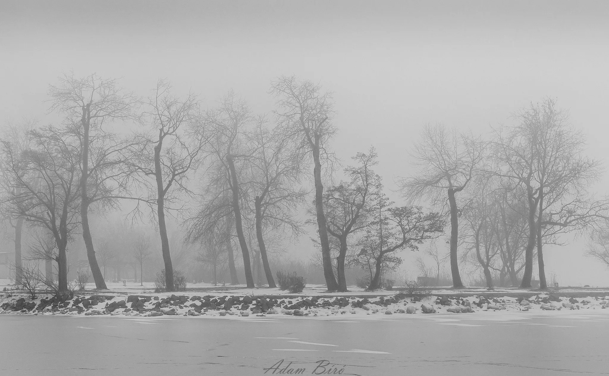 Foggy black and white winter landscape with bare trees along the frozen shore of Lake Balaton in Balatonboglár, Hungary.